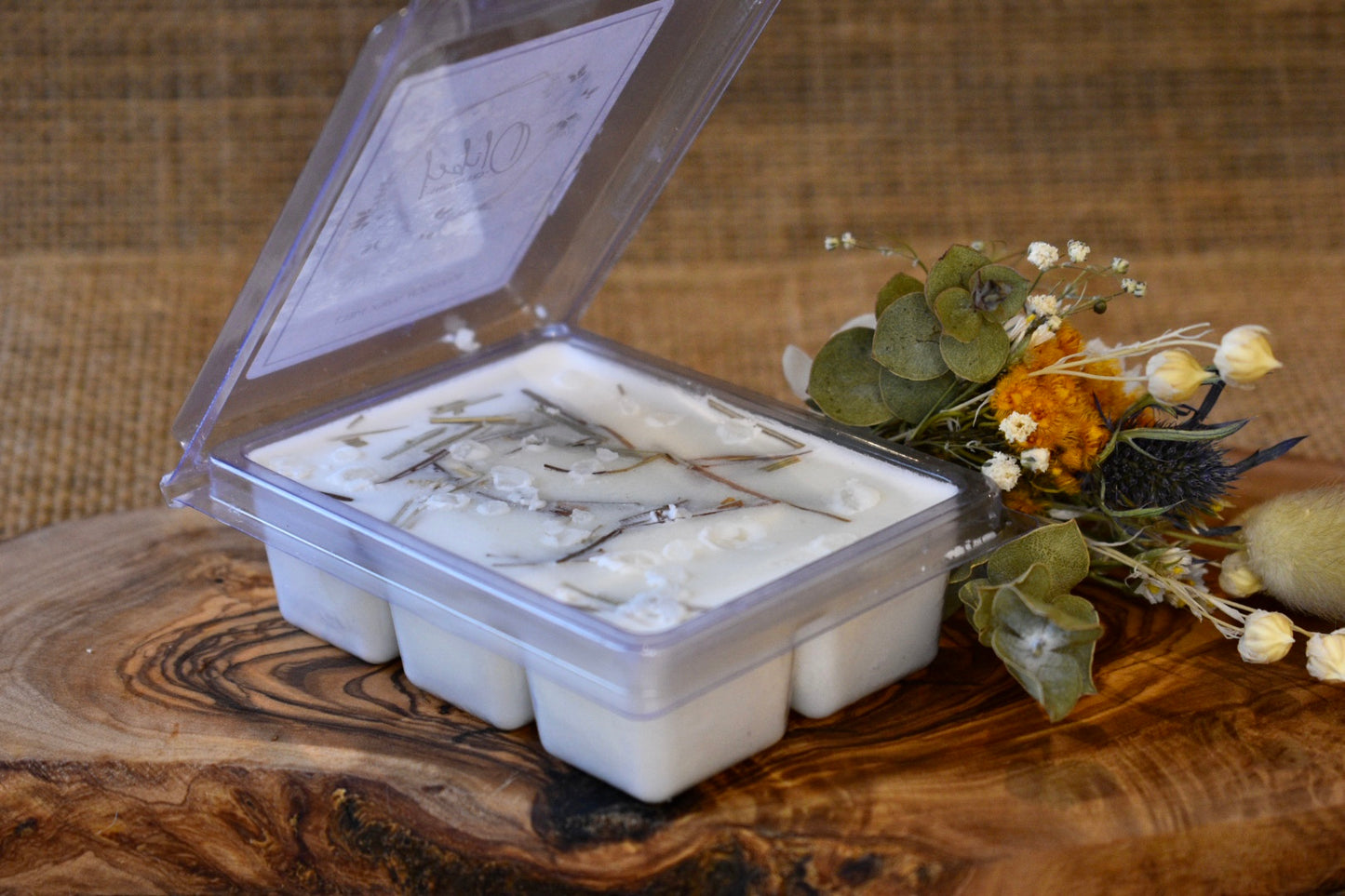 Wax Melt Clam 6 - Driftwood & Salt